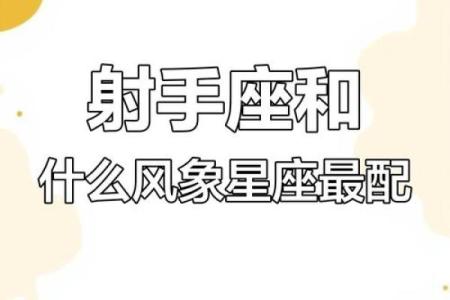 12星座射手座跟哪个星座结婚最配