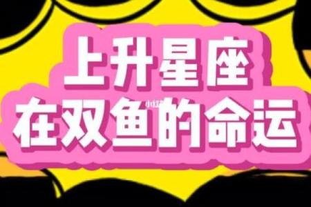 双鱼的温柔给了哪个星座