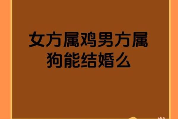 属鸡的和什么星座结婚最合适呢