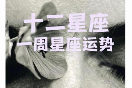 星座感情一周运势