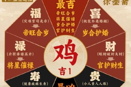 属鸡的和什么星座结婚最合适呢