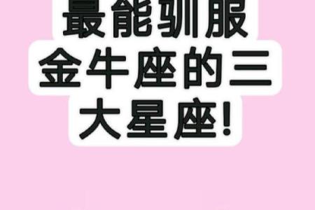 哪个星座和金牛座是最合适