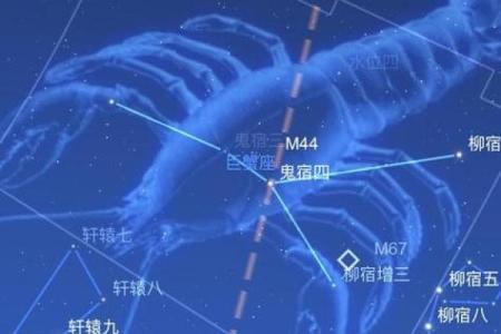 下降星座巨蟹座成绩好吗
