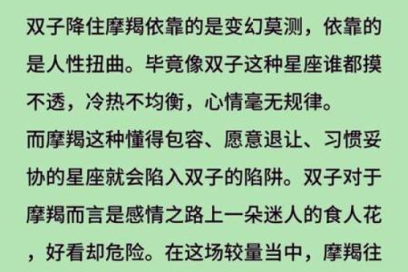摩羯适合和哪个星座在一起生活