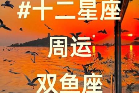 双鱼座14年星座运势