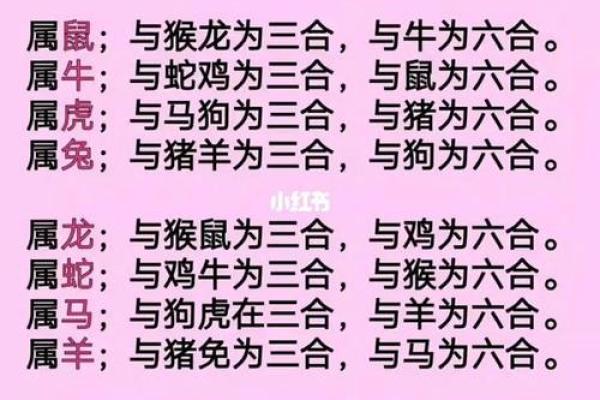 女蛇男兔生肖配对姻缘 属蛇女与属兔男婚姻配对详解