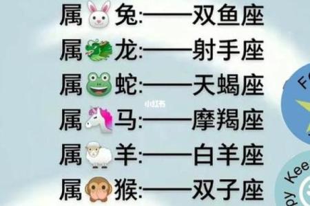 双方生肖相冲，星座是相合能在一起吗