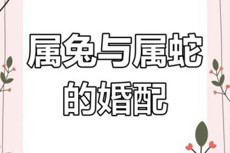 女蛇男兔生肖配对姻缘 属蛇女与属兔男婚姻配对详解
