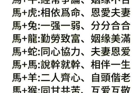 什么生肖最相配？十二生肖婚姻配对大全