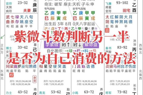 紫微斗数算命