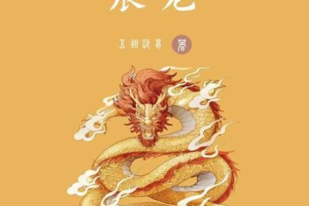 生肖属龙的人八字富贵上等格局