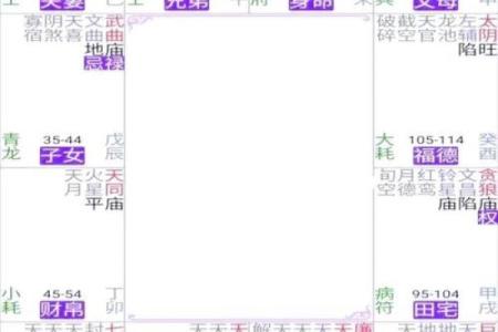 紫薇斗数四化