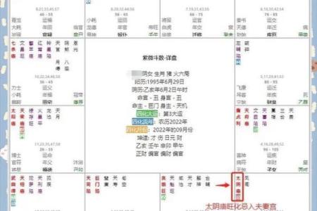 晚婚紫薇斗数