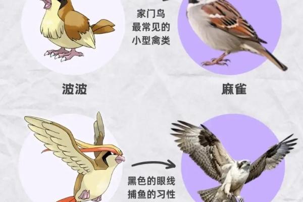 测试小鸟的名字吉凶