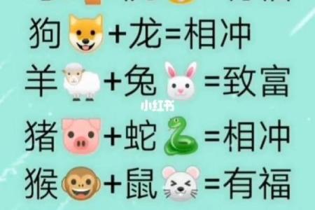 生肖男女配对大全，花果学说详解