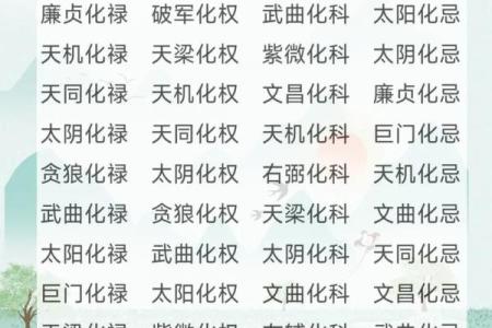 紫薇斗数科星