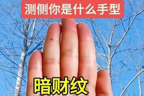 八字暗财