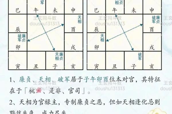 紫薇斗数里面的岁驿是什么意思