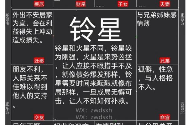 紫微斗数的斗 紫微斗数的斗怎么念？