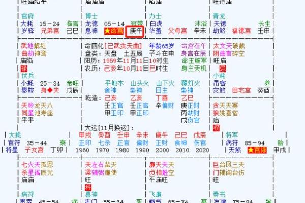 辰宫紫薇斗数