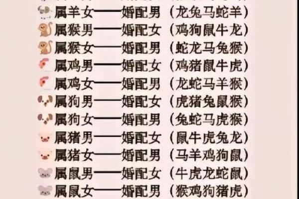 属兔的最佳生肖配对