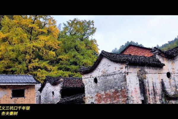 衢州庙前算命地址