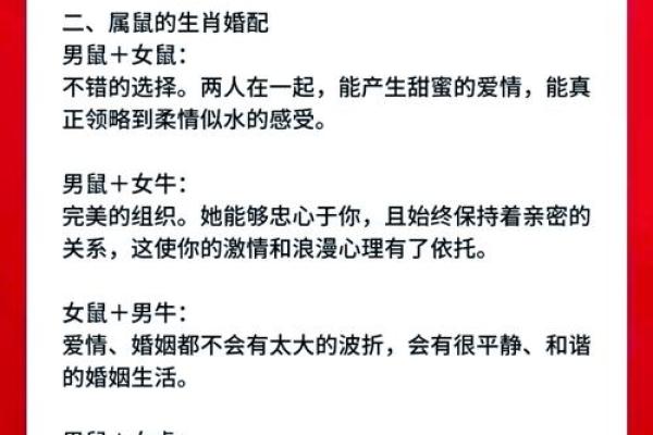 揭秘肖鼠女的属相配对