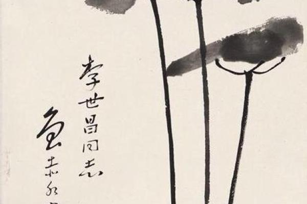 康生八字
