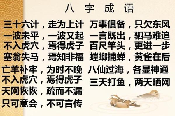 八字开头成语