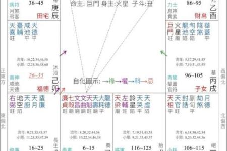 辰宫紫薇斗数