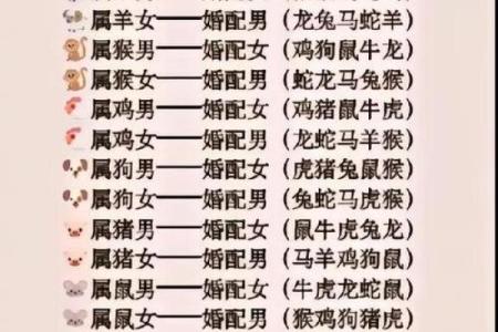 属兔的最佳生肖配对