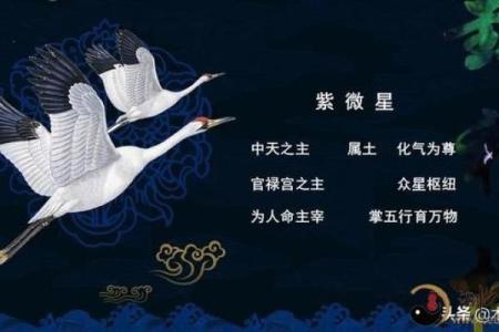 天空紫薇斗数