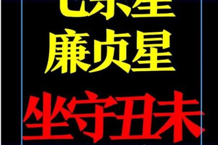 紫薇斗数武贪格