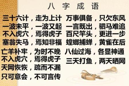八字开头成语