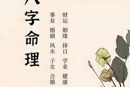 八字贵命格局