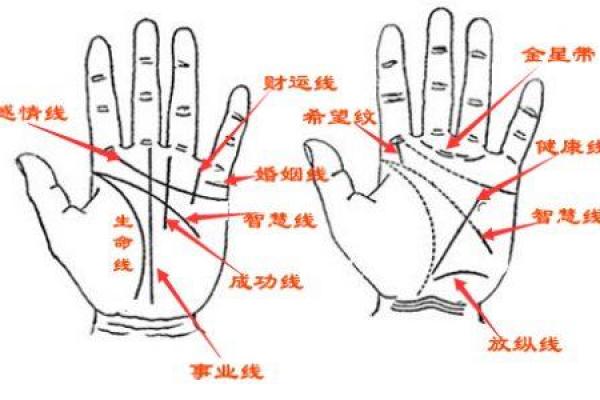 胎记算命：如何看胎记算命