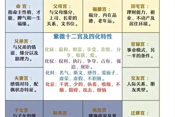 紫薇斗数不入格