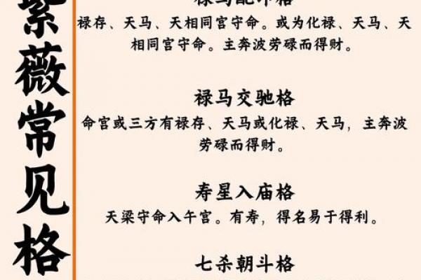 紫微斗数乱国 紫微斗数太准？