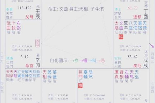 紫薇斗数大限武曲