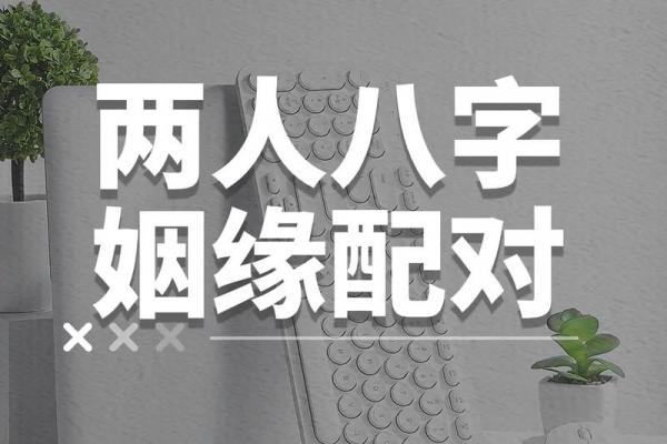 免费八字合婚配对 免费八字合婚配对测算水墨先生