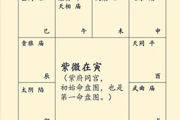 紫微斗数财政 紫微斗数里面的财星？