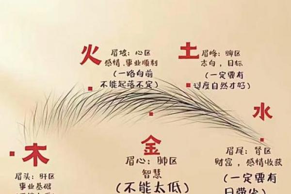 连心眉面相算命图解