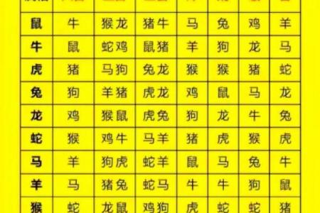 属鼠和属兔的八字合不合得来,属兔的跟属鼠的合财吗