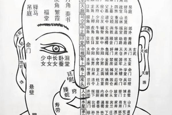 面相算命图解十二宫之：兄弟宫