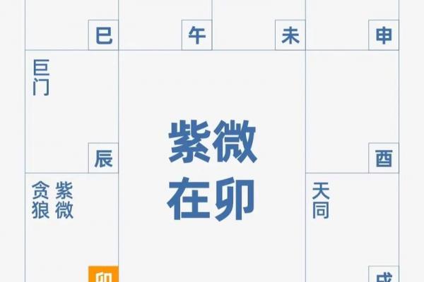 紫薇斗数难学吗