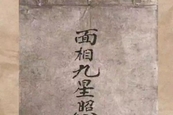 九星命理算命视频
