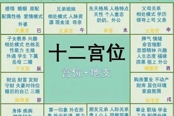 紫薇斗数大子女