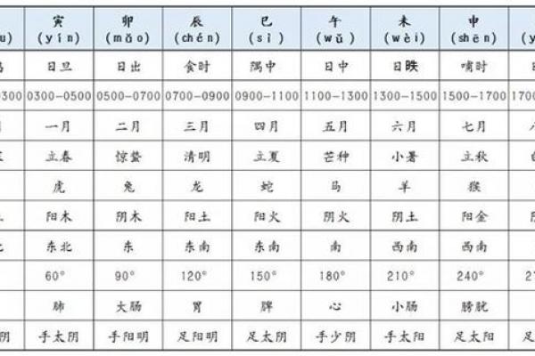 紫薇斗数大子女
