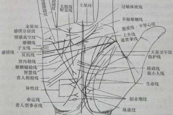 面相奇术：摸骨看面相算命口诀