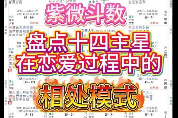 紫微斗数十四主星杂谈